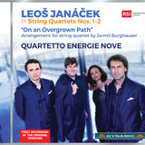 On an Overgrown Path, JW VIII/17, Book 1 (Arr. J. Burghauser for String Quartet): No. 4, The Madonna of Frydek
