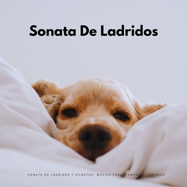 Sonata De Ladridos Y Silbatos: Música Para Tiempos Divertidos