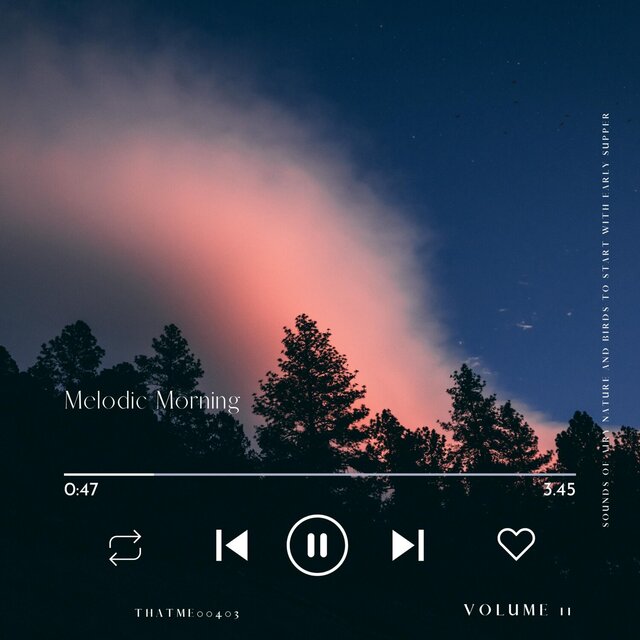 Melodic Morning - Sounds of Airy Nature and Birds to Start with Early Supper, Vol. 11