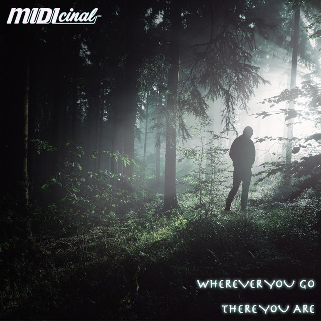 Wherever You Go There You Are