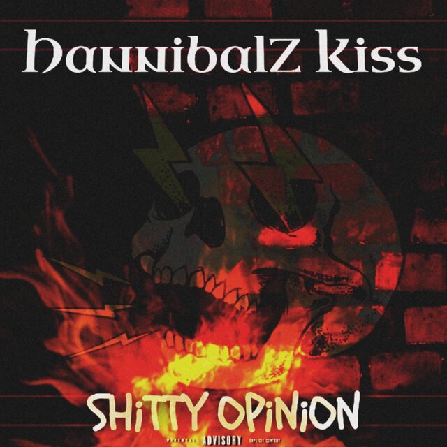 Shitty Opinion