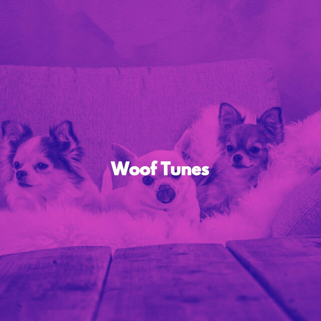 Woof Tunes