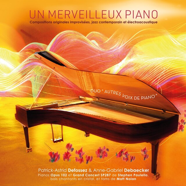 Un merveilleux piano