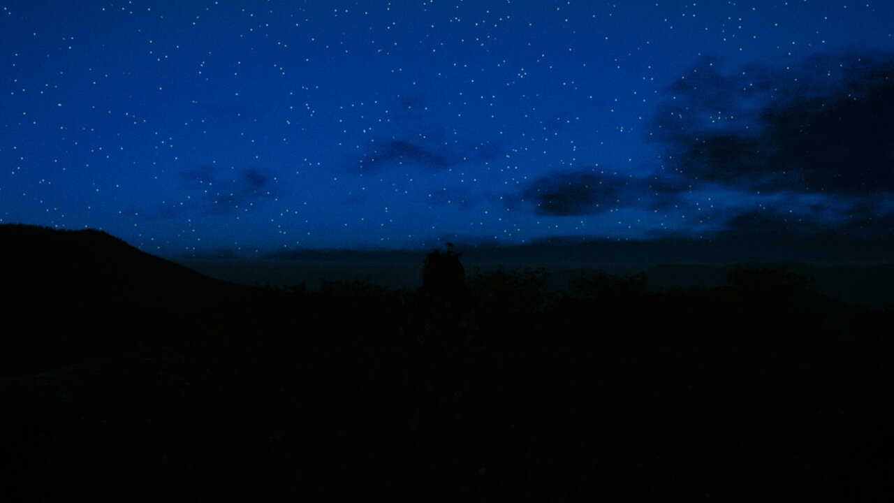 I Saw Something