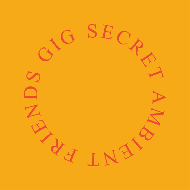 Secret Ambient Friends Gig