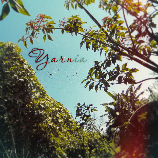 Yarnia
