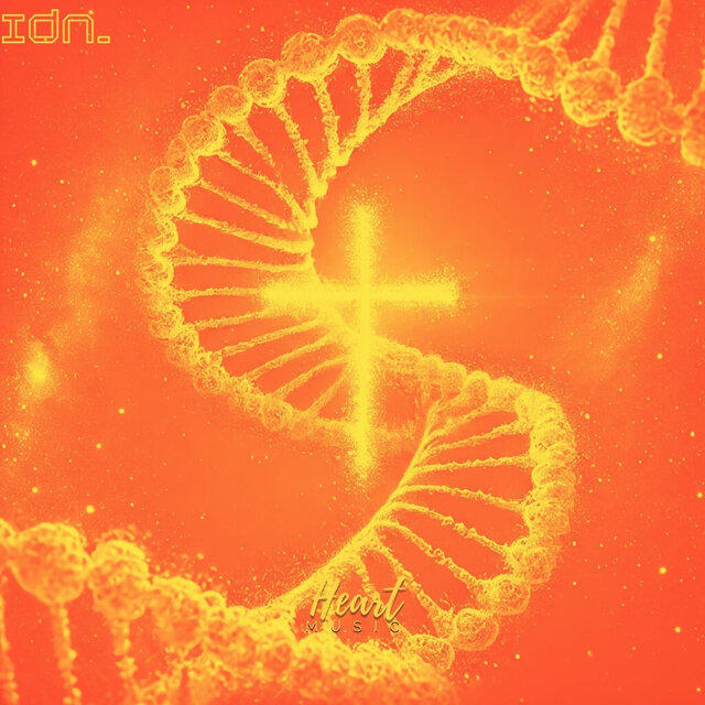 Idn_