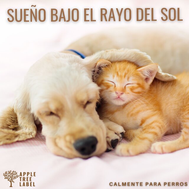 Sueño bajo el rayo del sol