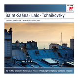 Cello Concerto in D Minor: I. Prelude. Lento - Allegro maestoso