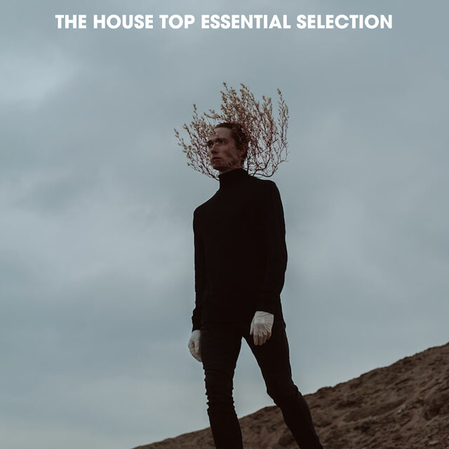 The House Top Essential Selection