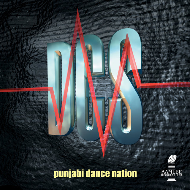 Punjabi Dance Nation
