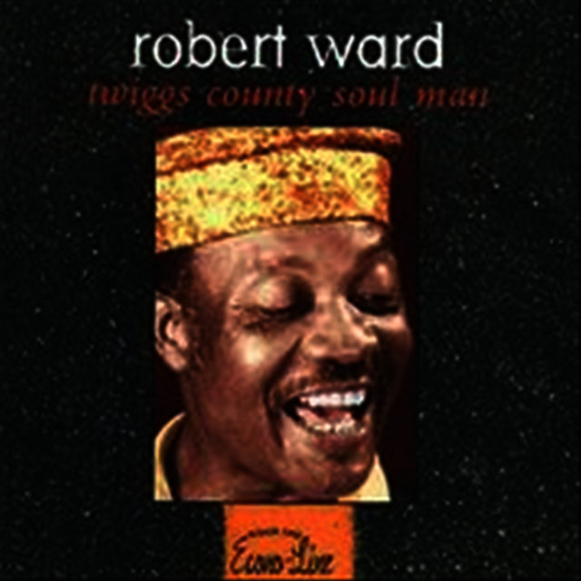 Twiggs County Soul Man