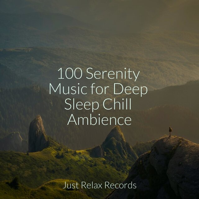 100 Serenity Music for Deep Sleep Chill Ambience