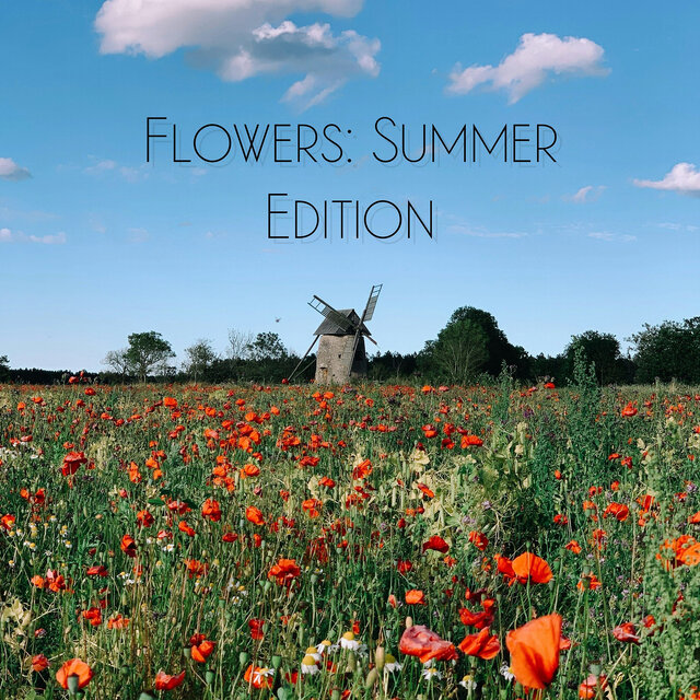 Flowers: Summer Edition