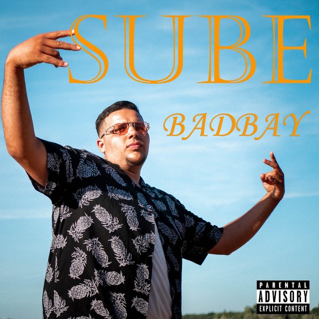 Sube