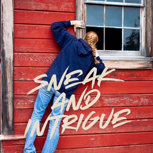 Sneak And Intrigue