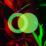 Hide (Original Mix)