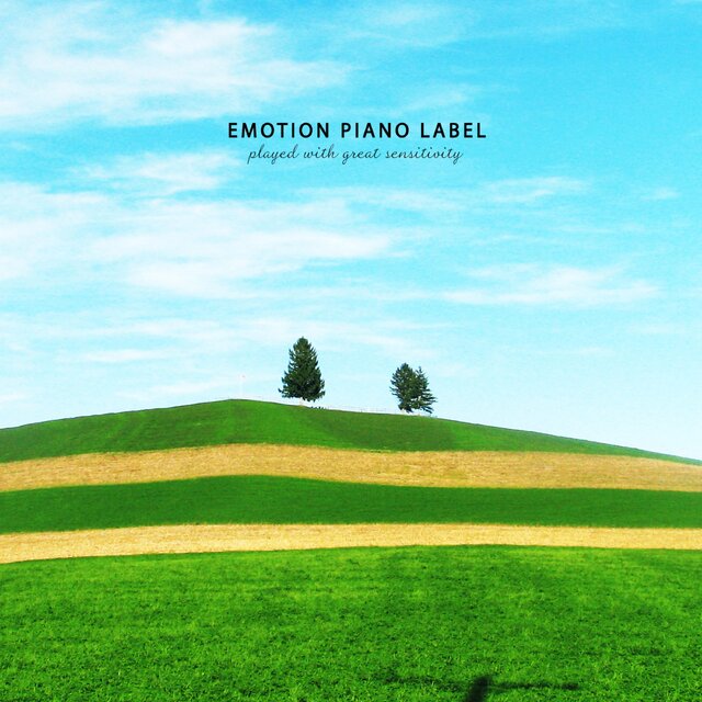 A calm piano collection for reading