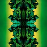 Begonia Admrl (feat. Varijashree Venugopal) (Remix)