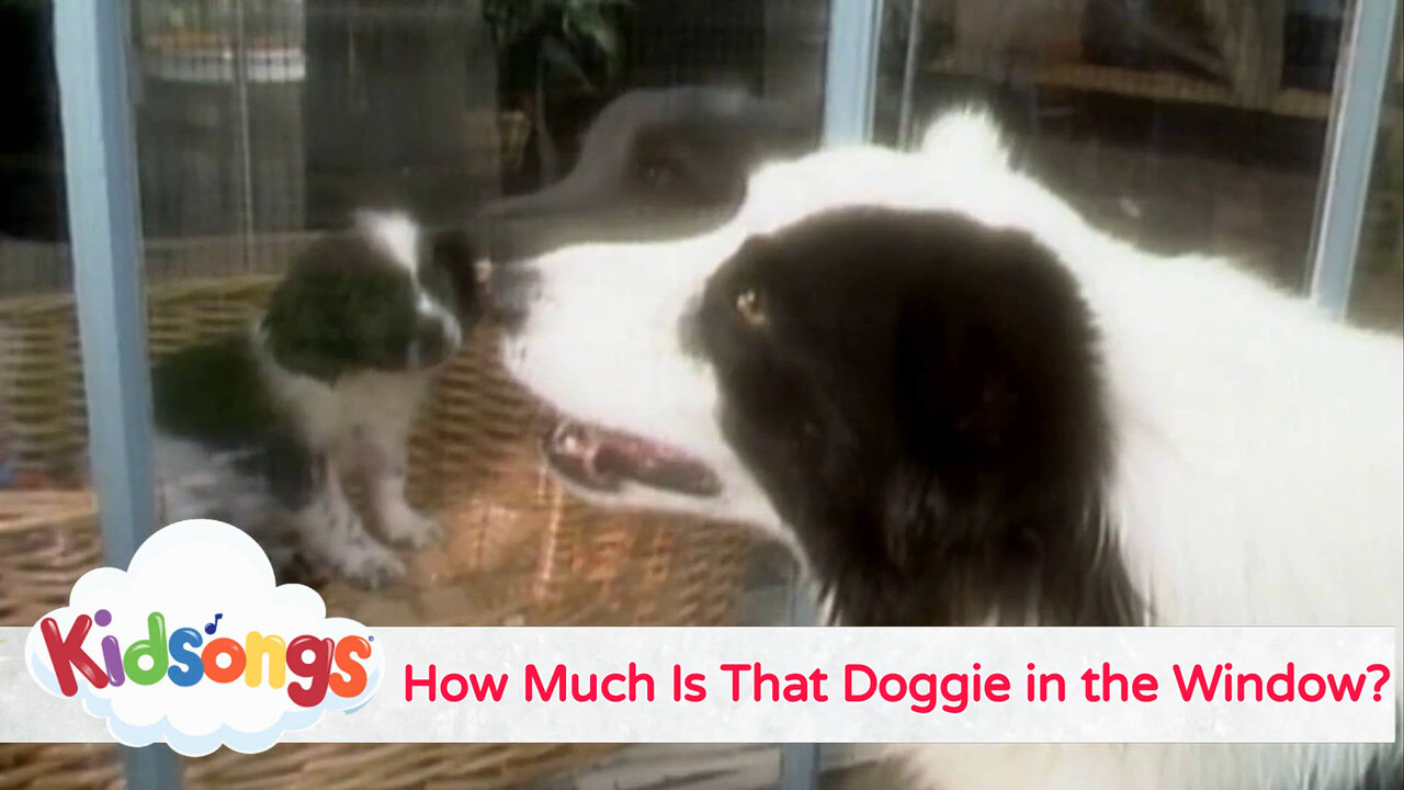 How Much Is That Doggie In The Window