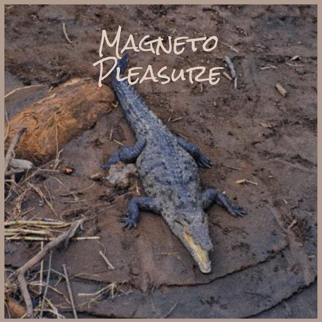 Magneto Pleasure