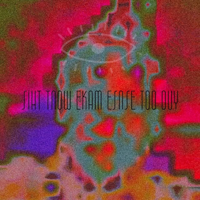 Siht Tnow Ekam Esnes Oot Ouy
