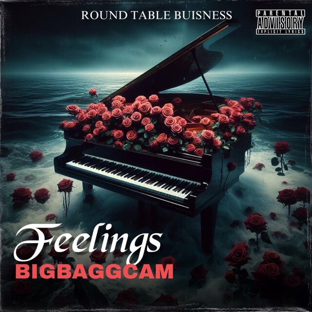 Feelings
