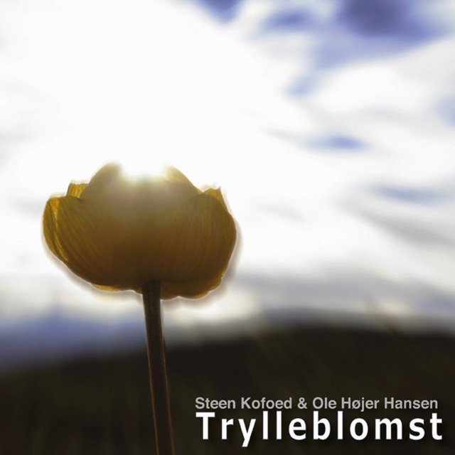 Trylleblomst