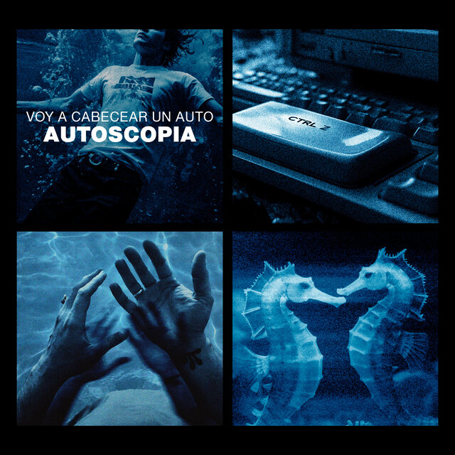 Autoscopia