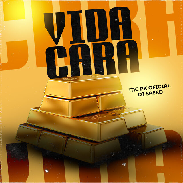 Vida Cara