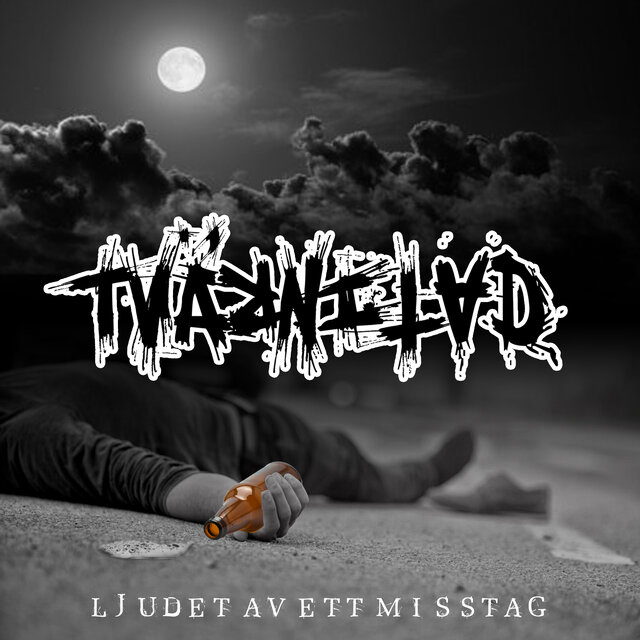 Ljudet av ett misstag