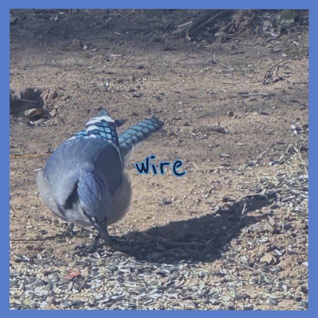Wire