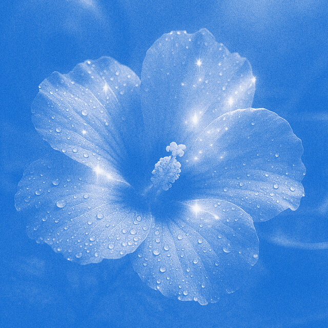 Blue Hibiscus - A Soundbath Healing Journey