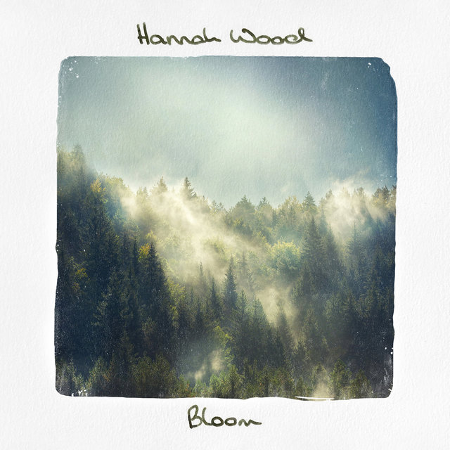 Bloom