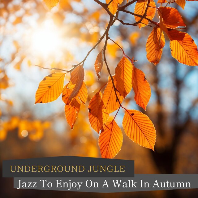 Jazz to Enjoy on a Walk in Autumn