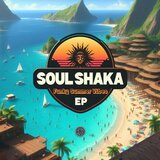 Disco Freaks (Soulshaka's Hot Summer Remix)