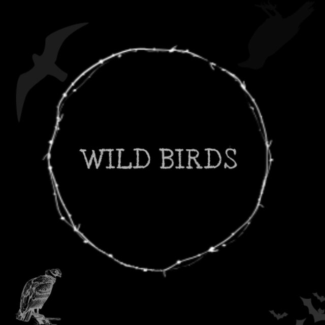 Wild birds