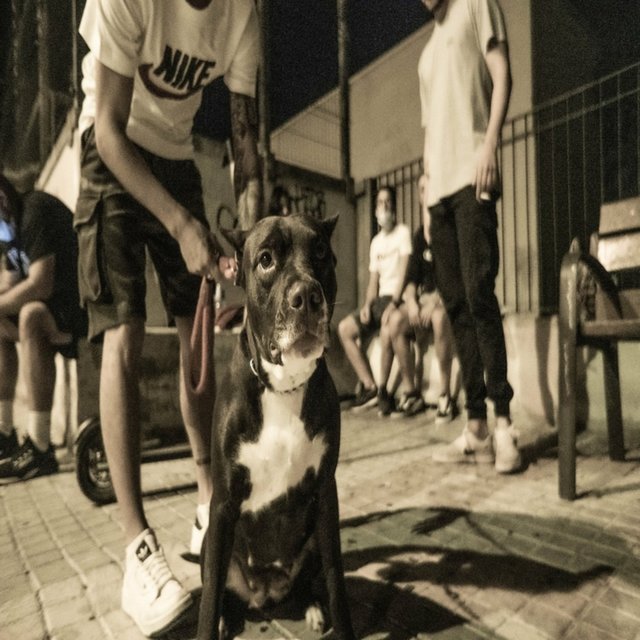 Dogma Pragmático