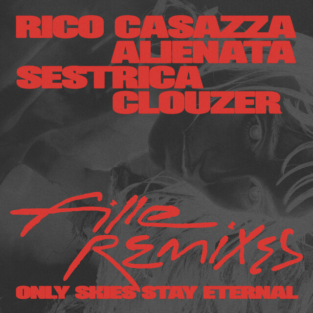Cover art for album Only Skies Stay Eternal(Remixes) by Fille