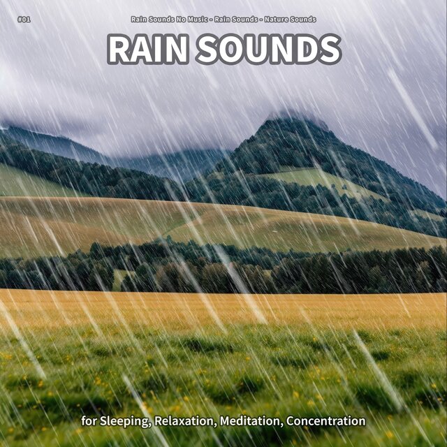 #01 Rain Sounds for Sleeping, Relaxation, Meditation, Concentration
