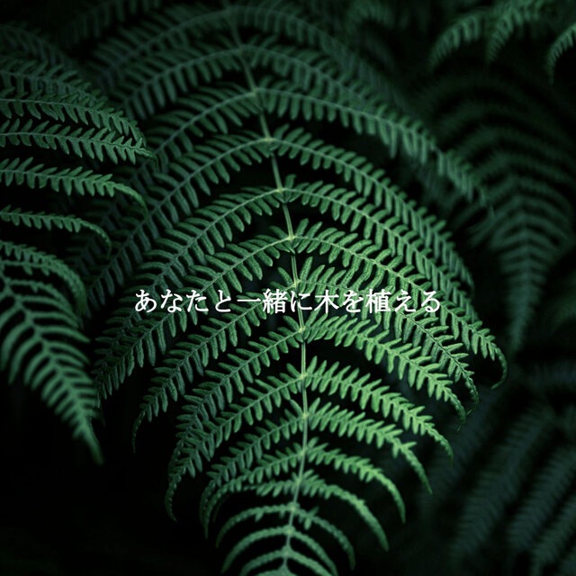あなたと一緒に木を植える
