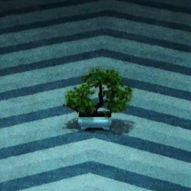 BONSAI