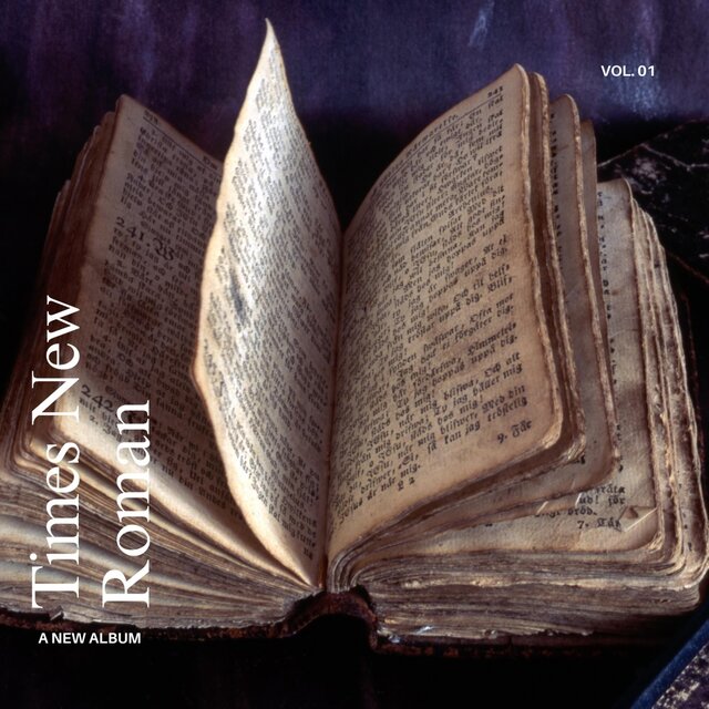 Times New Roman