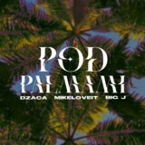 POD PALMAMI