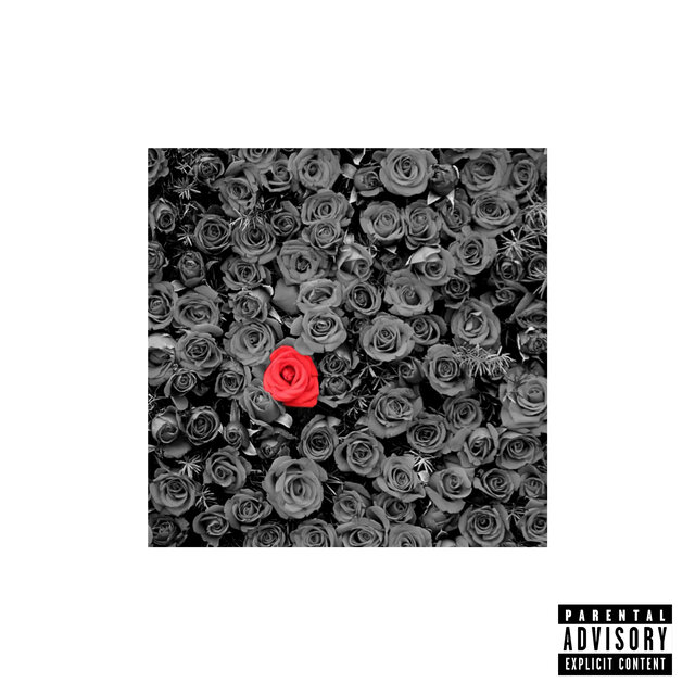 paid (THE MIXTAPE)