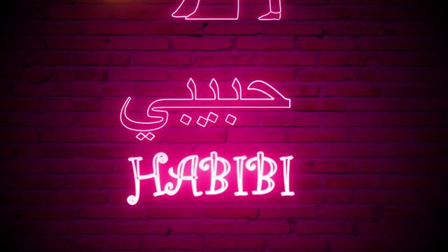 HABIBI (Lyric Video)
