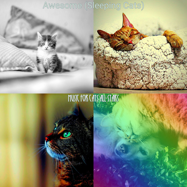 Awesome (Sleeping Cats)