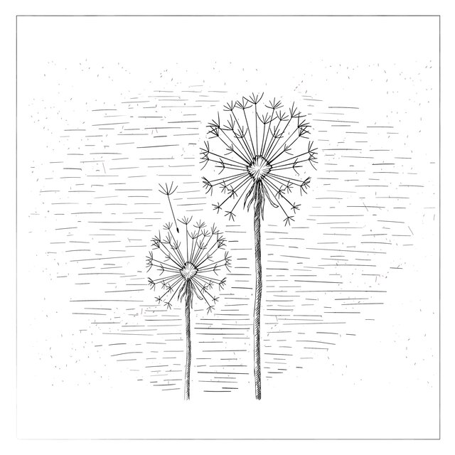 Sketch