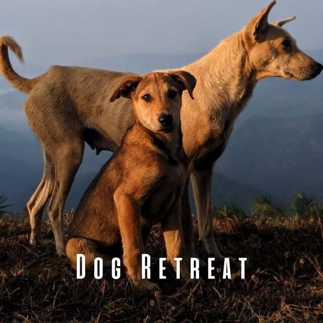 Dog Retreat: Lofi Melodies for Canine Peace