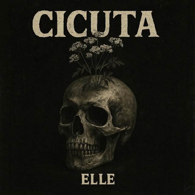 Cicuta